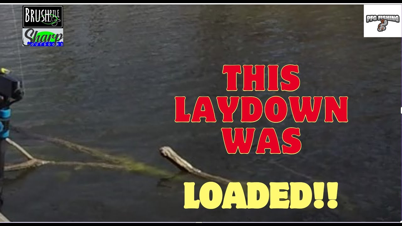 Pre Spawn Crappie Fishing at Coffeen Lake! YouTube