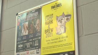 Lions Club hosts 2nd annual Camp Bark and Brew