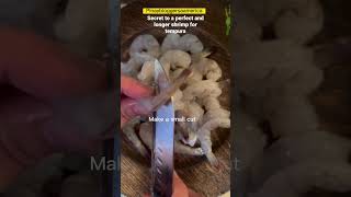 1st step in making shrimp tempura #shorts#youtubeshorts #tempura #recipes #foodie #viralfoodrecipes