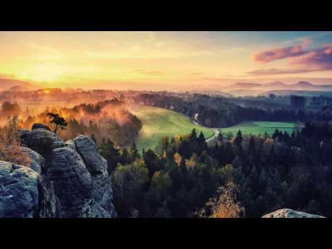 Toteem1 What Is Beauty 