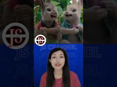 Peter Rabbit 2