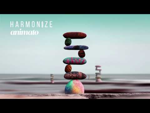 Animato & Sonic Species - Fuzz The Edges