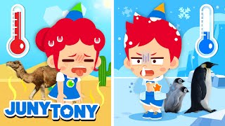 🔥❄️ Hot vs. Cold | Polar Region Animals vs. Desert Animals | Kids Songs | JunyTony