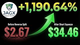 Jaguar Health JAGX: BUY or SELL After 1,190% Surge Full Investor Analysis