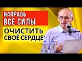 Все силы направь на то, чтобы очистить своё сердце! Торсунов лекции