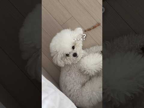 까까가 얼마나 소중한건지 감도 안옴ㅋㅋ;; thumbnail