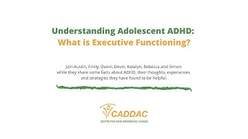 What is Executive Functioning?