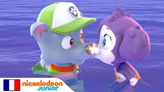 Paw Patrol La Pat Patrouille Les Chiens-Sirènes Sauvent Leurs Amis Magiques Nick Jr.