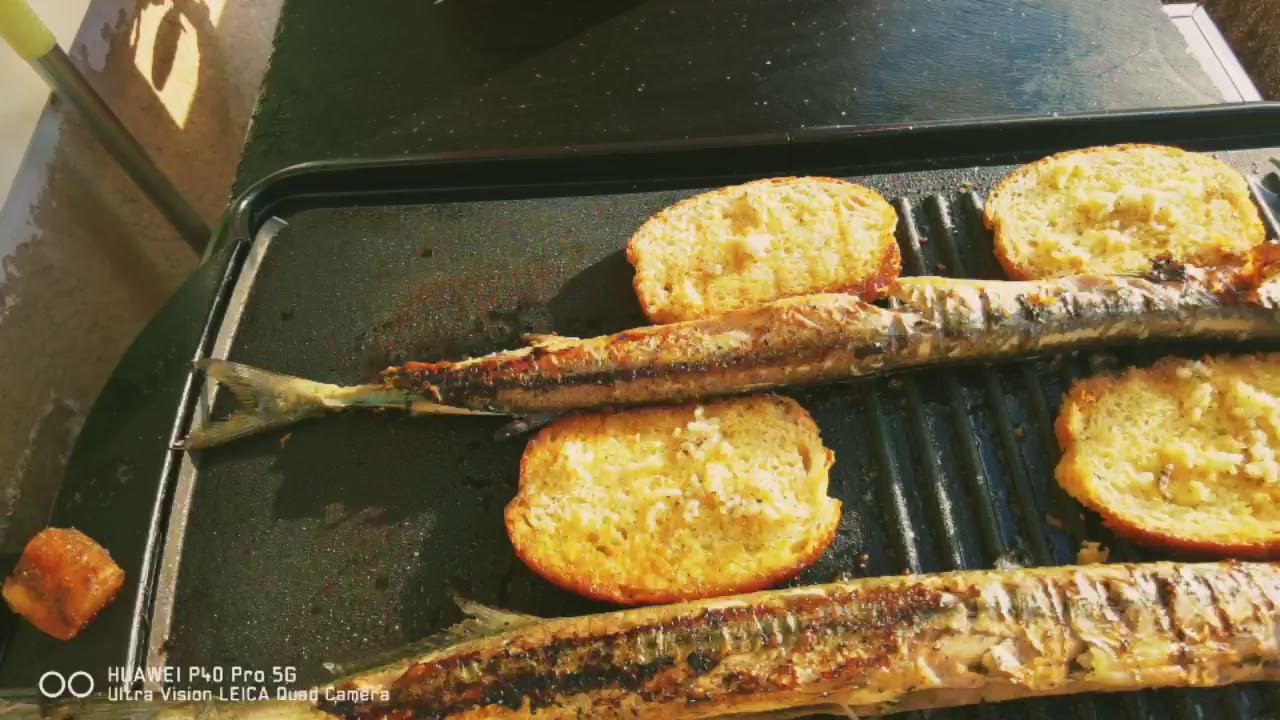 Zargan Przhen V Zargan