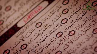 Quran Whatsapp Status video 44s Ramadan | Beauty-full Tilavat Clip Surah Arrehman screenshot 5