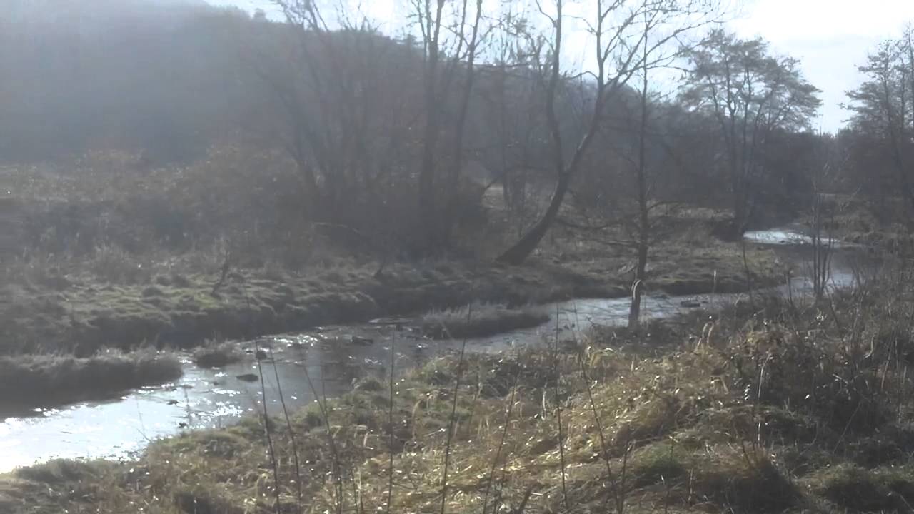 The River Croal in Seven Acres Country Park Bolton YouTube The River Croal in Seven Acres Country Park Bolton YouTube