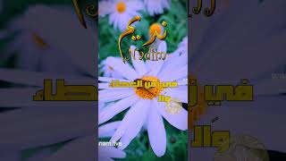 ابيات شعر باسم #نديم