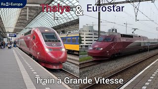 Thalys/Eurostar | Train à Grande Vitesse | Rail-Europa TV №8