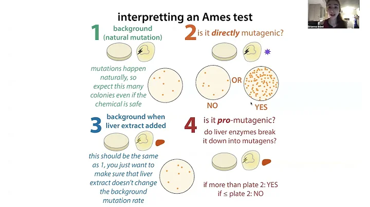 Ames test for mutagenicity - the biochemistry behind it