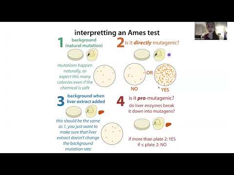 Video: Ames testida biotin histidin eritmasining maqsadi nima?