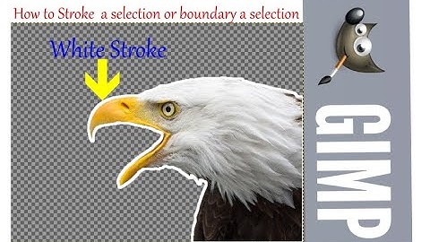 Gimp 2.10.22. How to put a stroke or boundary on selection.