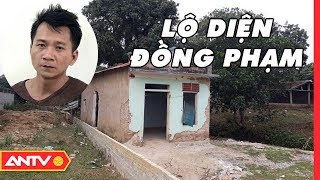 Bản tin 113 Online cập nhật hôm nay | Tin tức Việt Nam | Tin tức 24h mới nhất ngày 13/02/2019 | ANTV