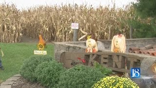Pumpkin patch celebrates 25 years after the storm