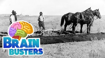 Serious Science: History of Soy