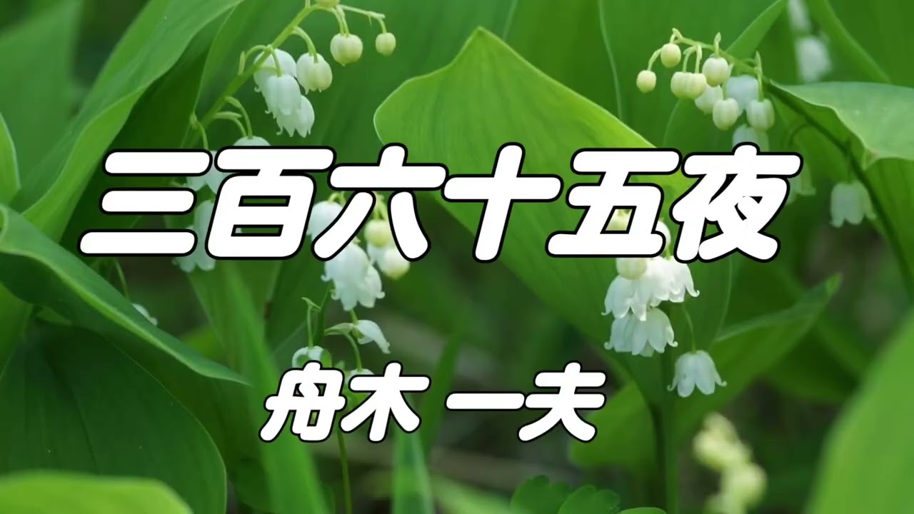 舟木一夫(Cover)字幕修正版【三百六十五夜】作詞/西条八十　作曲/古賀政男