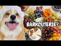 &quot;Barkcuterie&quot;: Make a Dog-friendly Charcuterie Board!