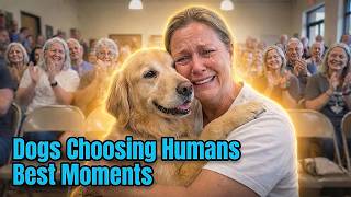 Rescue Dogs Make the First Move at Adoption Event