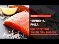 Червона риба: чим корисна і як вибрати