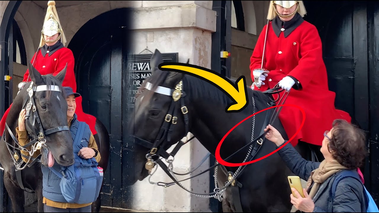 Lady Guard Ritu WATCH The Lady Guard’s Reactions When The tourists DID this. - YouTube