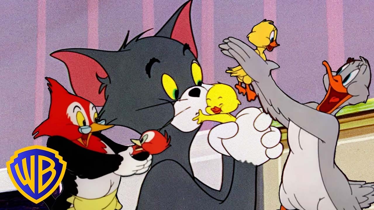 tomjelly✨ Tom & Jerry | Animal Moms! 🦆🐔 | ‪@wbkids‬ - YouTube