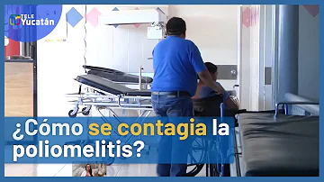 ¿Cómo se contrae la polio?