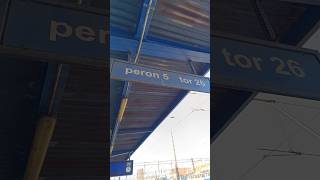 Magnes Peron 5 Katowice - Zgarnij Go