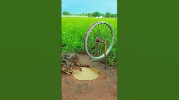 Simple Best Trap - Create Easy Quail Trap # bird trap #shorts