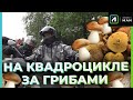 ЗА ГРИБАМИ ВМЕСТЕ С МАМОЙ НА КВАДРОЦИКЛЕ