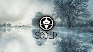 [Musica electronica gratis sin copyright] Dimelix - Sober (feat. TAMiM)