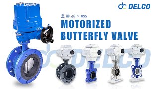 Unleash efficiency with DELCO Electric Butterfly Valves!