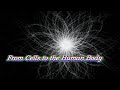 From Cells to the Human Body By K SIMON official AI music video
