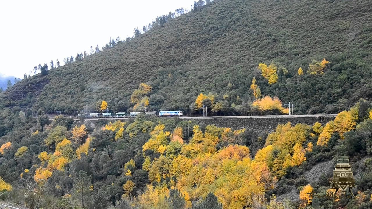 Homenaje a la ALCO 2100