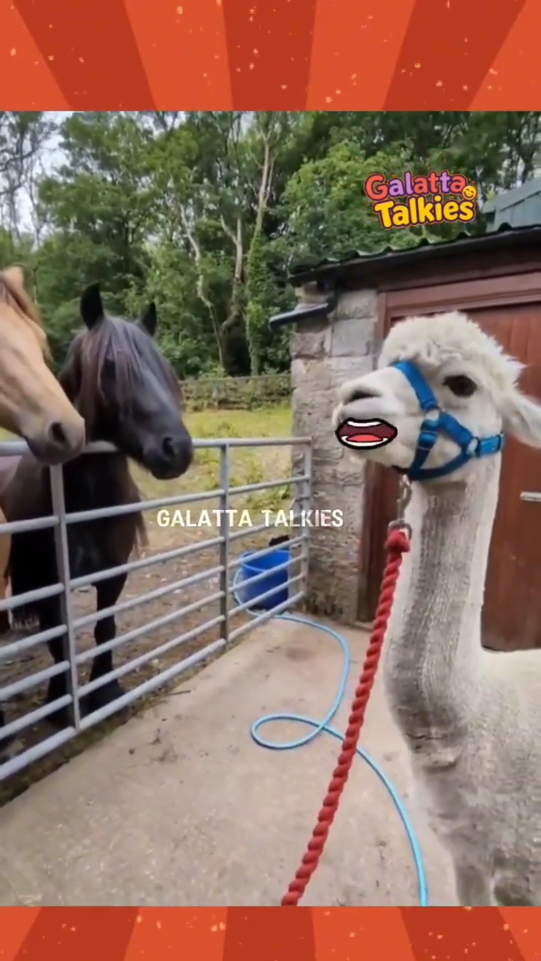 😅Funny Caption வீடியோ மீம்ஸ்📱 - ShareChat