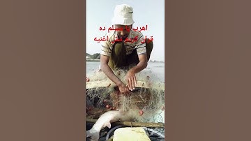 #اهرب يا مسلم ده قران كريم مش اغنيه #voiceeffects #اكسبلور #fishing #دويتو #duet #ترند #fish #تيك_