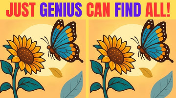 Can You Find | Spot the difference | Puzzle games | Find the difference | #707