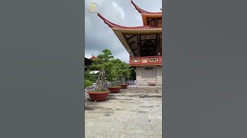 Tháng Bảy Vu Lan – Làm gì để báo hiếu người thân đã khuất?#phapamdieudung  #phậtpháp#loiphatday