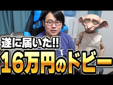 ひろちん雑談 遂に届いたぞ 16万円したドビー人形 切り抜き ひろちんくん 雑談