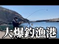 【北海道】【釣り】大爆釣に港内激震！！一同パニック‼️大群が押し寄せる