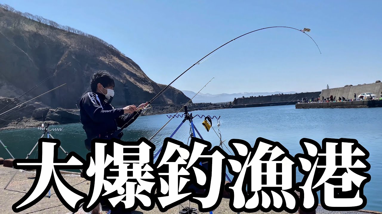 【北海道】【釣り】大爆釣に港内激震！！一同パニック‼️大群が押し寄せる