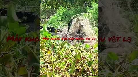 Máy hút bùn nạo vét kênh rác gặp nhiều vật lạ đáy kênh #shorts | Vùng quê MINH CÔNG