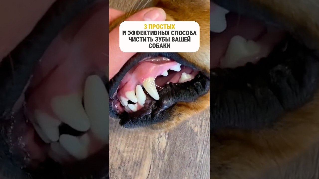 Забирайте артикул 