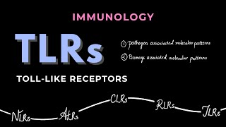 Toll Like Receptors (TLRs) | Pattern Recognition Receptors | Part 2 | Immunology
