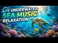 Calm Music to Calm the Mind, Calm Nerves • Calm Music Therapy