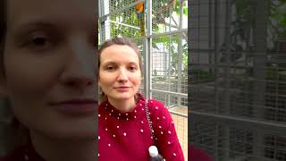 Palmiarnia Poznańska Dzika Przyroda W Sercu Miasta - Czy Warto?