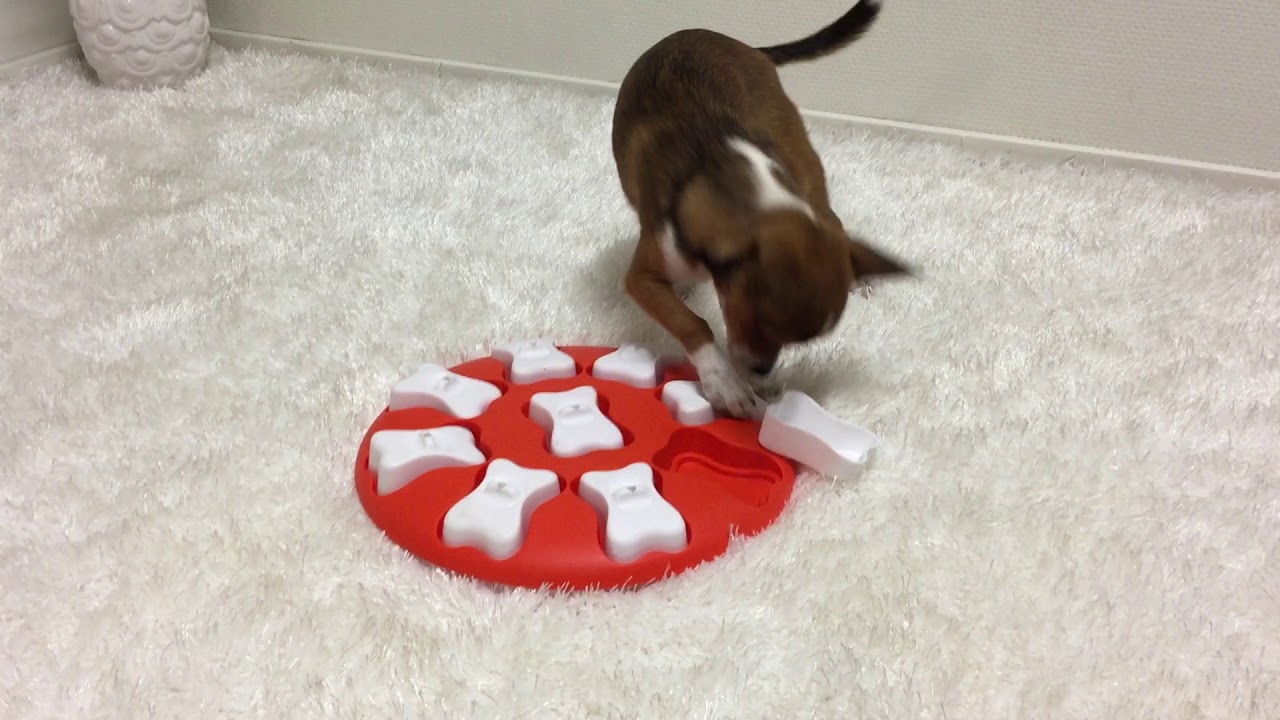 NinaOttossonPuzzleGames Lickin' Layers by @OutwardHoundBrand - Puzzle &  Feeder in one. 